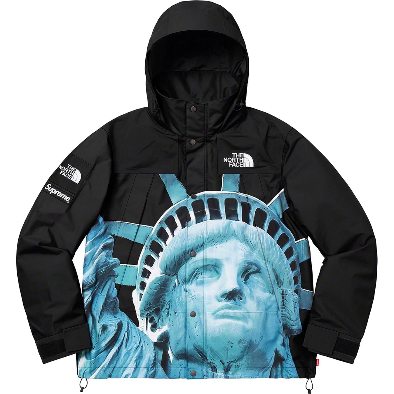 Supreme®/The North Face® Statue of Liberty Mountain Jacket view 7
